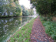 A quiet, leafy part of the canal in Burnley