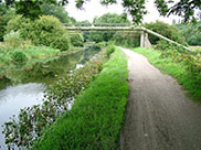 A pipe bridge crosses the little-used stretch of canal