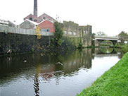 Industrial decline at Lob Lane bridge (Bridge 137)