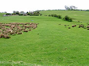 Into countryside, peace and quiet