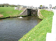 Top Lock (No.45)