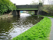 Hodge Bank bridge (Bridge 141D)