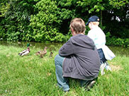 Thomas and Connor feeding the ducks
