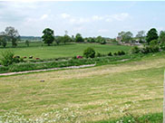 View from towpath