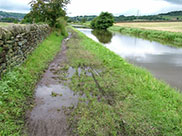 Mud and puddles made the walk difficult at times