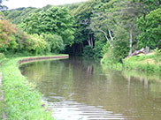 The canal weaves its way into Farnhill Wood
