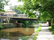 Saltaire bridge (Bridge 207A)