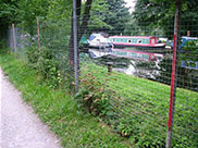 Boats moored parallel to the canal