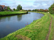 The towpath doesn't get much use