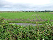 Another photo showing how flat the landscape is