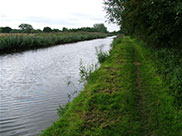 In the countryside, grass towpath