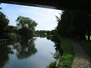 Under Northway bridge (Bridge 12A)