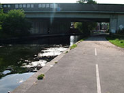 M58 motorway bridge, not numbered