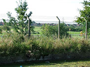 View towards Aintree race course