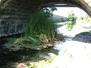 Under Blue Anchor bridge, evidence of little boat traffic