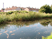 Housing at Netherton