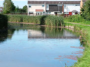 Housing at Netherton