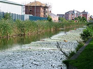 New canalside apartments in Bootle