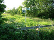 Footpath to Haigh Hall, once a railway line