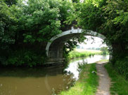 Waterhouse Bridge (Bridge 67)