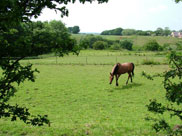 Surrounded by trees and fields