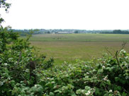 View towards Wigan from Sennicar Lane