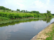 Haigh Hall golf course