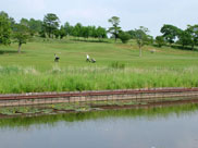 Haigh Hall golf course