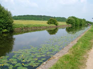 View of hill 'Wutchy' in Aspull