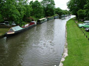 View from Parbold bridge (Bridge 37)