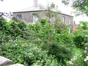 An old hall barely visible through the trees