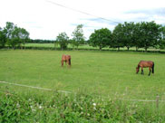 Fields as far as the eye can see