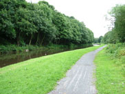 Decent towpath again, but it gets muddier further on