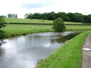 The canal opened up here and looked like a river