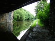 Under Chorley Road Bridge (Bridge 72A)