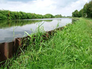 Walking at water level