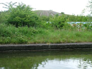 A rare site in the borough of Wigan, a slag heap