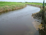 Where the canal joins the River Douglas