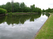 Just past Plank Lane, the canal is very wide