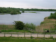 Pennington Flash Country Park