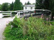 The bridge over the old Walton Summit Branch