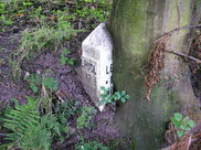A tree growing around a mileage stone
