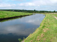 Peace and quiet in the countryside