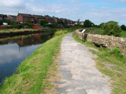 More housing on the canal bank