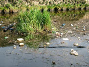 Litter in the canal at Blackburn