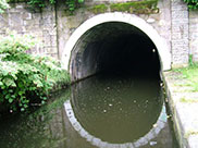 Gannow Tunnel (Bridge 128)