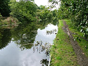 Looks peaceful, but canal is parallel to a busy main road