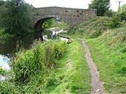 Knott's bridge (Bridge 123)