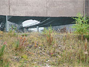 Graffiti on a motorway bridge