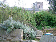 Donkey Back Picnic Site and Kirk Church, Church